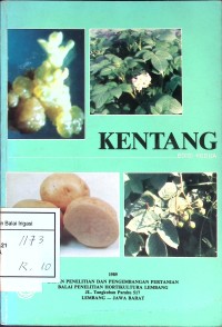 Kentang